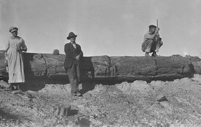 Mary, Ben and Bill with Petrified Log